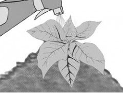 Fig 7