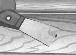 Fig 11