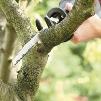 Lâmina p/ Sabre Madeira 205mm 2 unidades Lâmina p/ Sabre Madeira 205mm 2 unidades