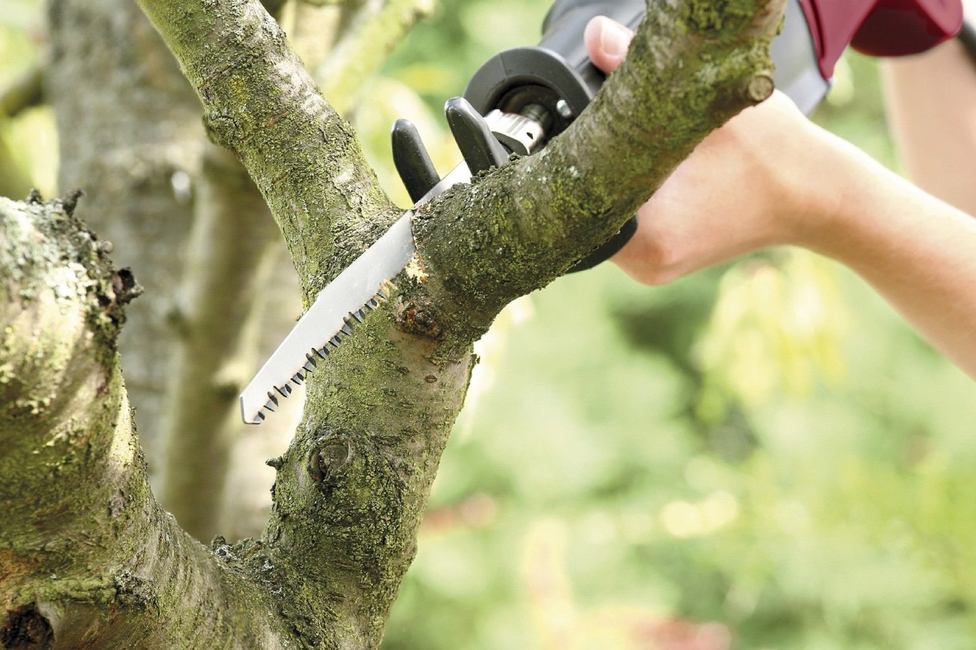 Lâmina p/ Sabre Madeira 205mm 2 unidades