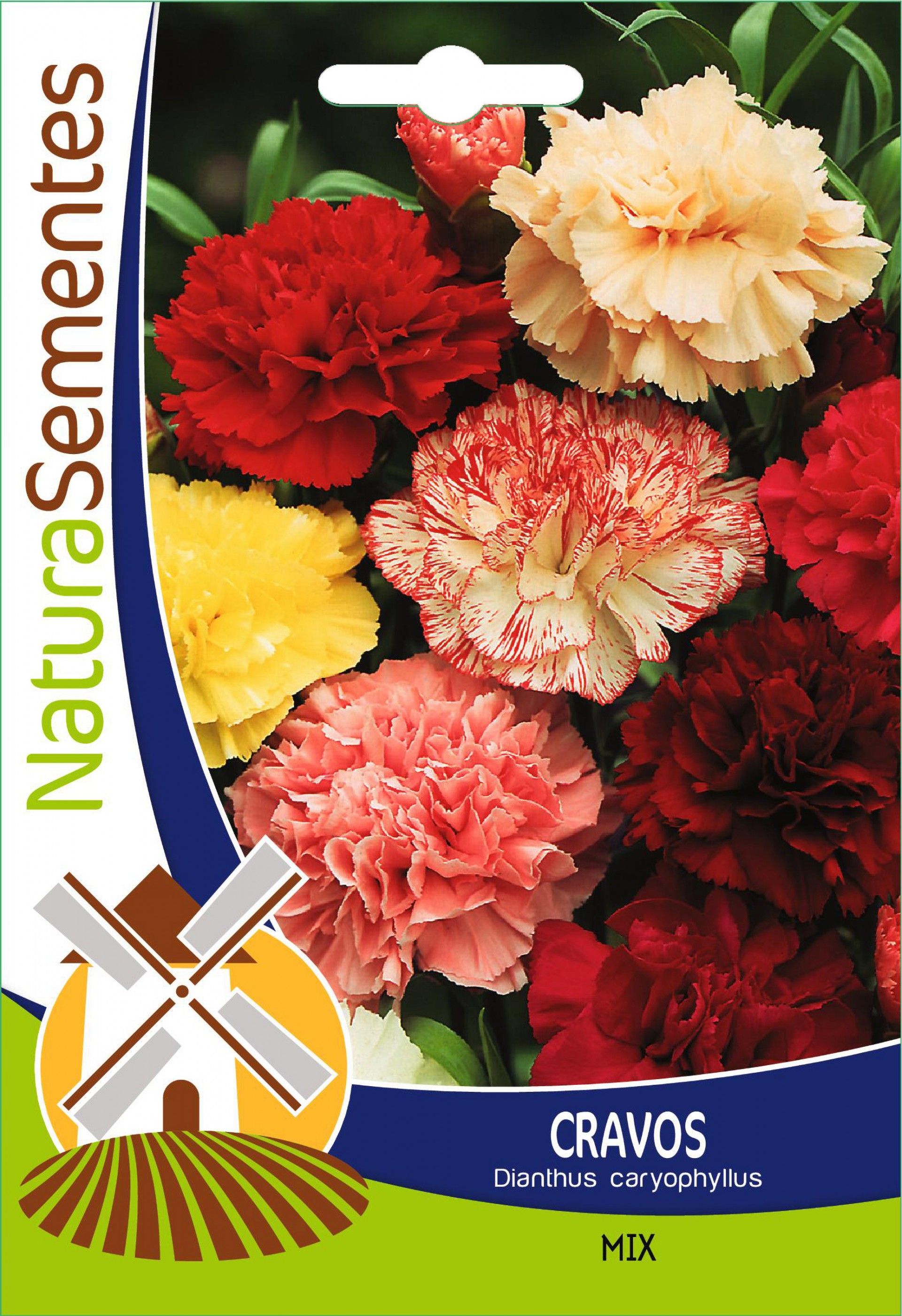 Cravos Mistura