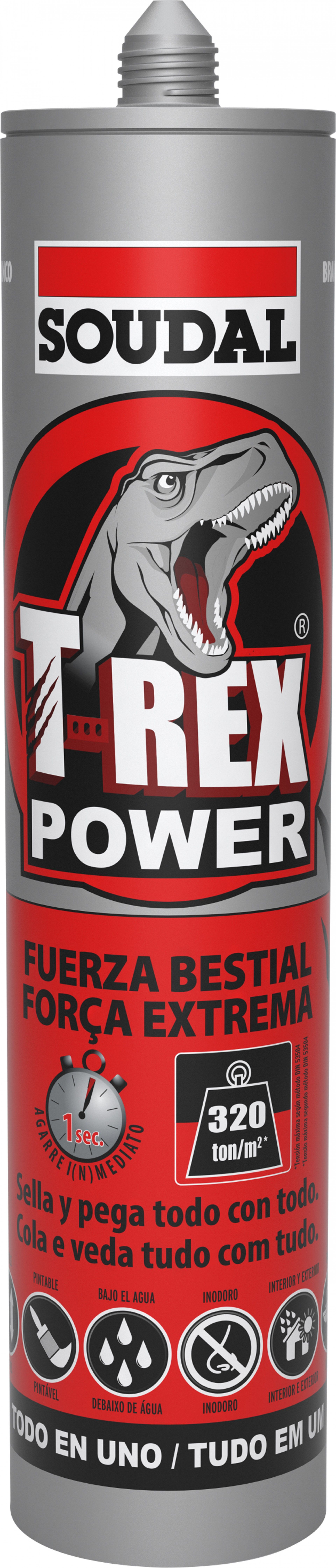 Cola & Veda T-REX POWER Cinza 290ml