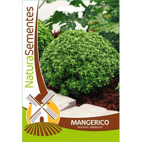 Mangerico Mangerico