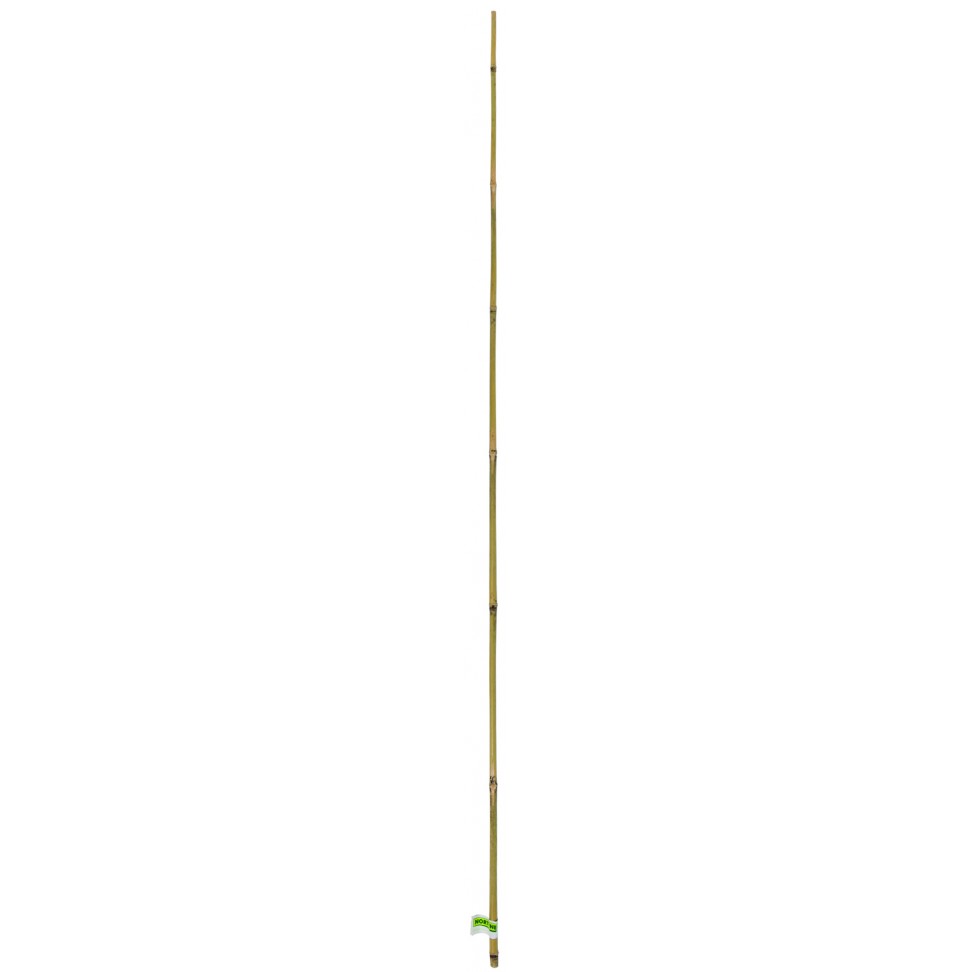 Tutor Bambu 180cm Tutor Bambu 180cm