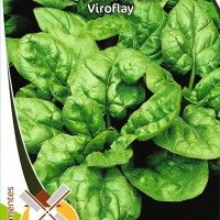 Espinafre Viroflay Espinafre Viroflay