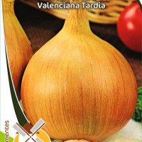 Cebola Valenciana Tardia Cebola Valenciana Tardia