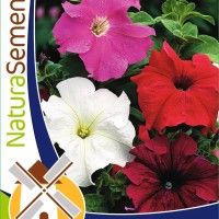 Petunia Grandiflora Mix Petunia Grandiflora Mix