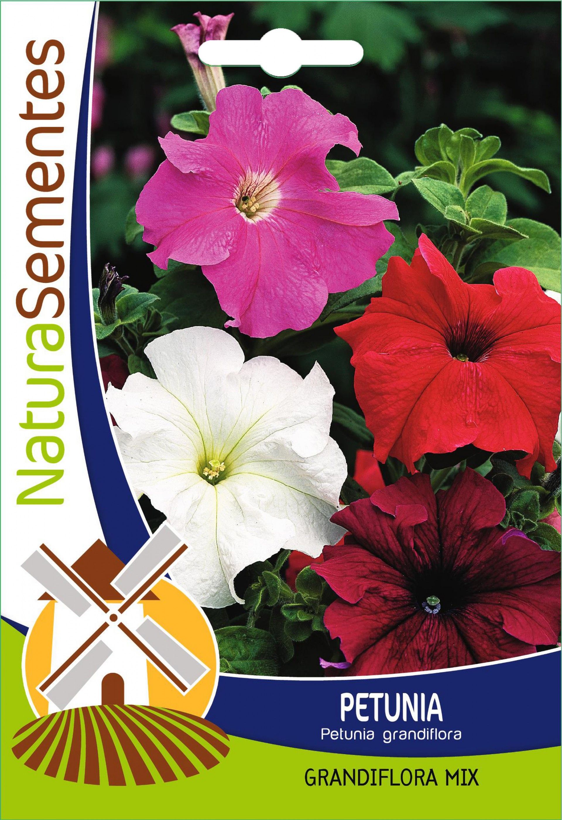 Petunia Grandiflora Mix