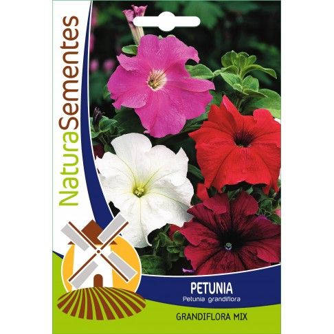 Petunia Grandiflora Mix Petunia Grandiflora Mix