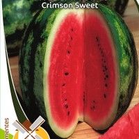 Melancia Crimson Sweet Melancia Crimson Sweet