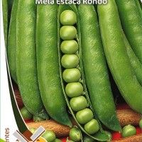 Ervilha Meia Estaca Rondo Ervilha Meia Estaca Rondo