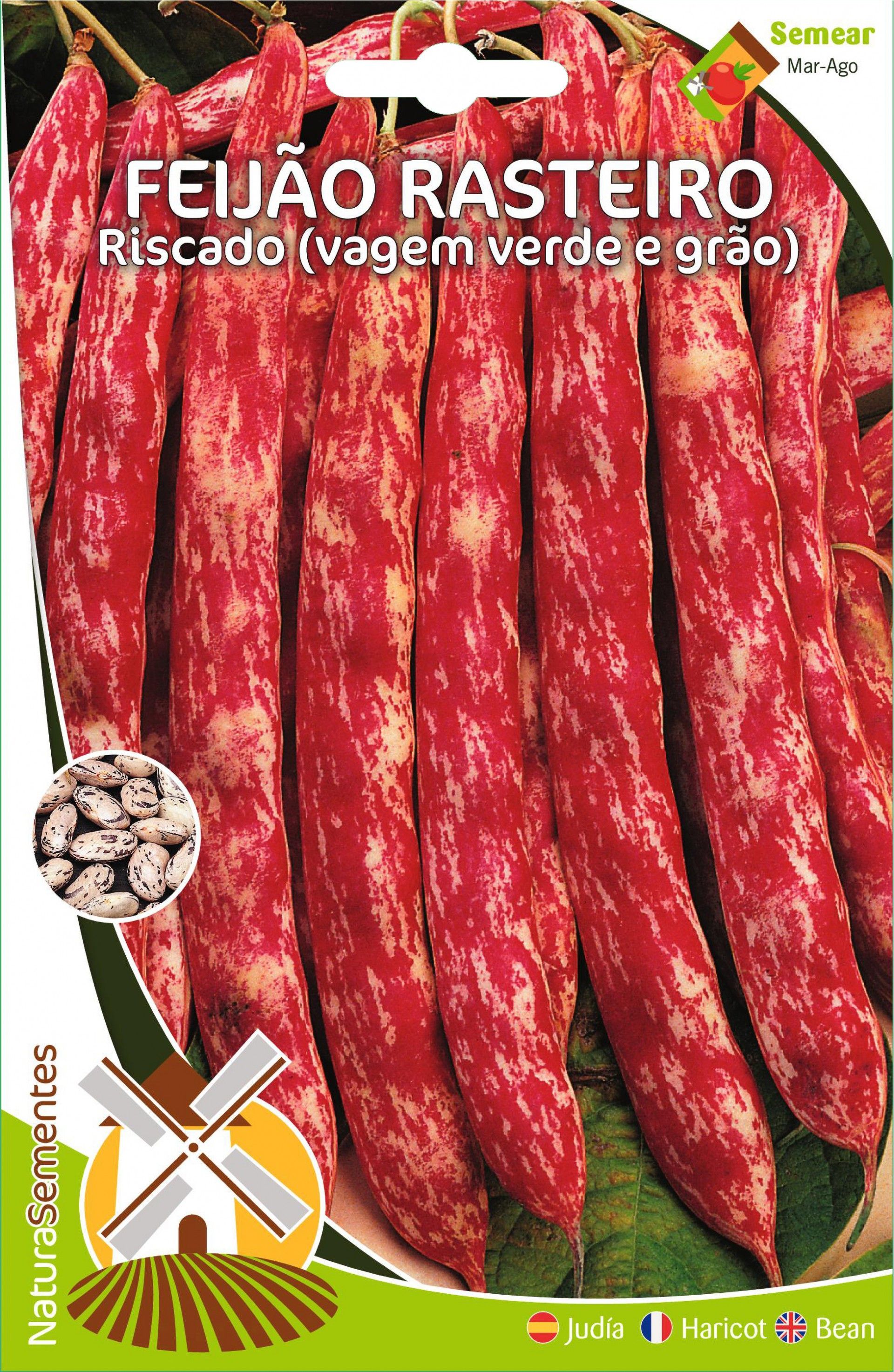 Feijão Rasteiro Riscado (Vagem V.E Grão)