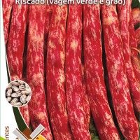 Feijão Rasteiro Riscado (Vagem V.E Grão) Feijão Rasteiro Riscado (Vagem V.E Grão)