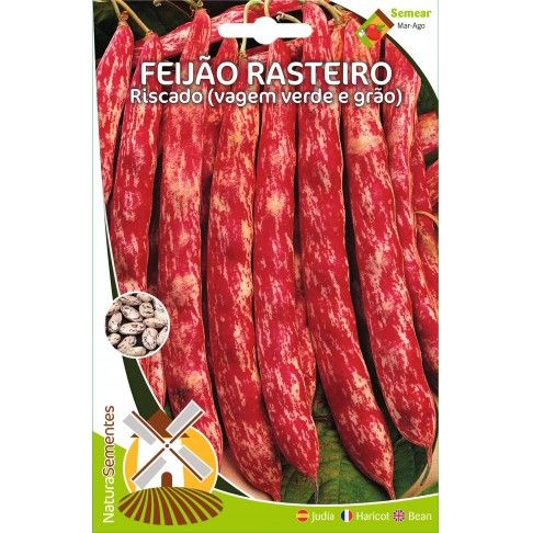 Feijão Rasteiro Riscado (Vagem V.E Grão) Feijão Rasteiro Riscado (Vagem V.E Grão)