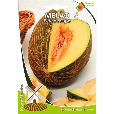Melão Pele De Sapo Melão Pele De Sapo