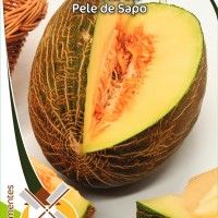 Melão Pele De Sapo Melão Pele De Sapo