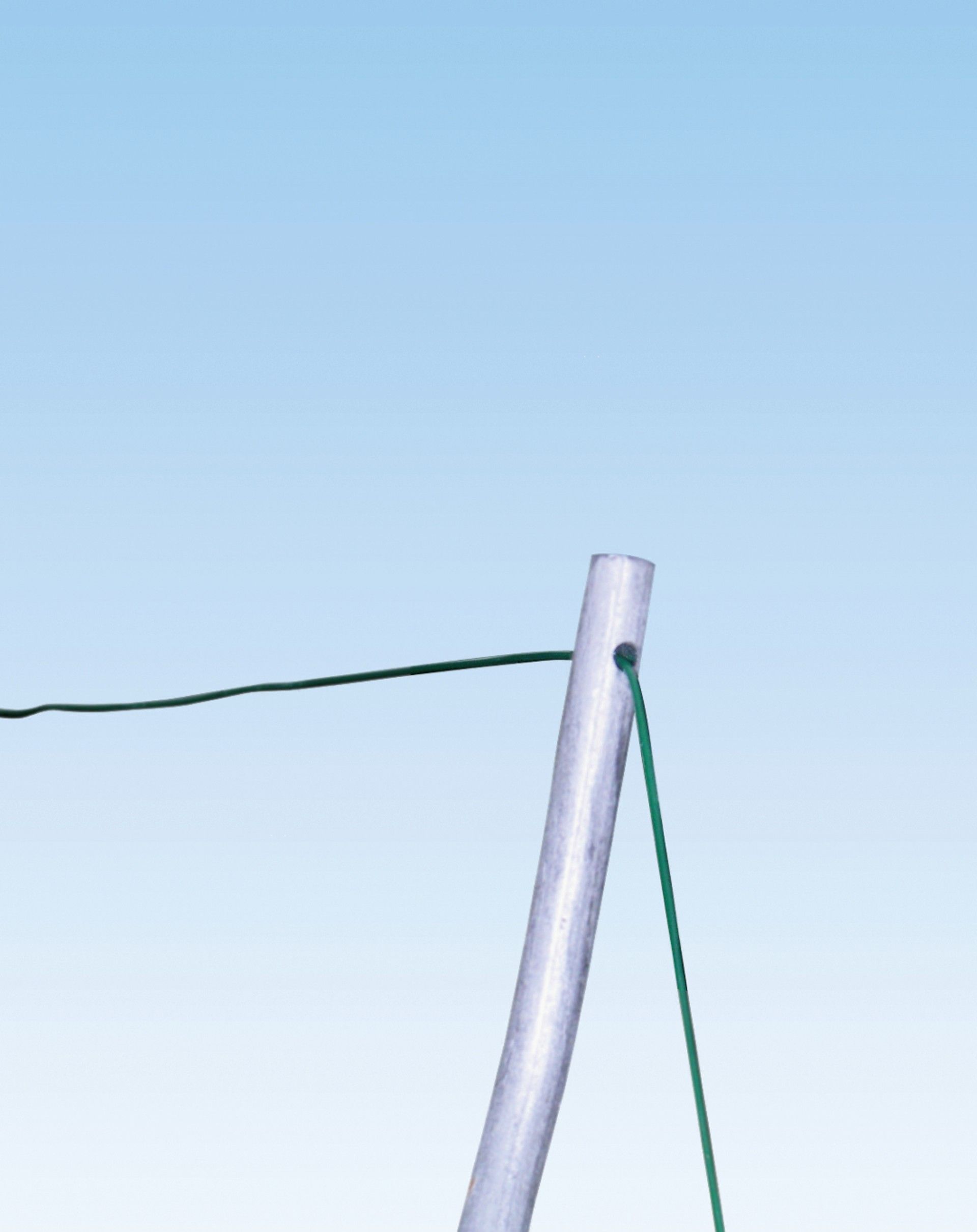 Tutor Tomate Espiral 180cm