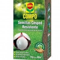 Semente Relva Resistente 1kg