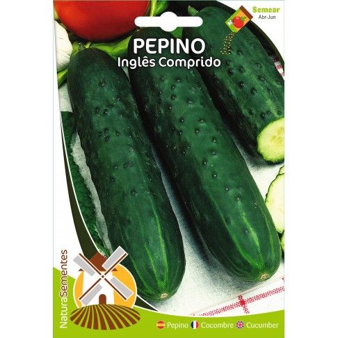 Pepino Inglês Comprido Pepino Inglês Comprido