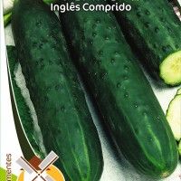 Pepino Inglês Comprido Pepino Inglês Comprido