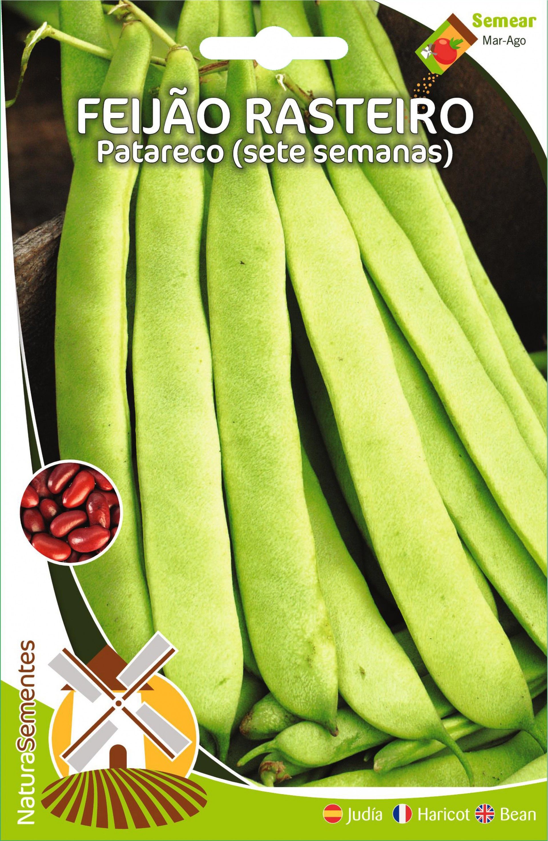 Feijão Rasteiro Patareco