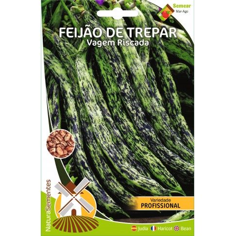 Feijão Trepar Vagem Riscada Prof Feijão Trepar Vagem Riscada Prof