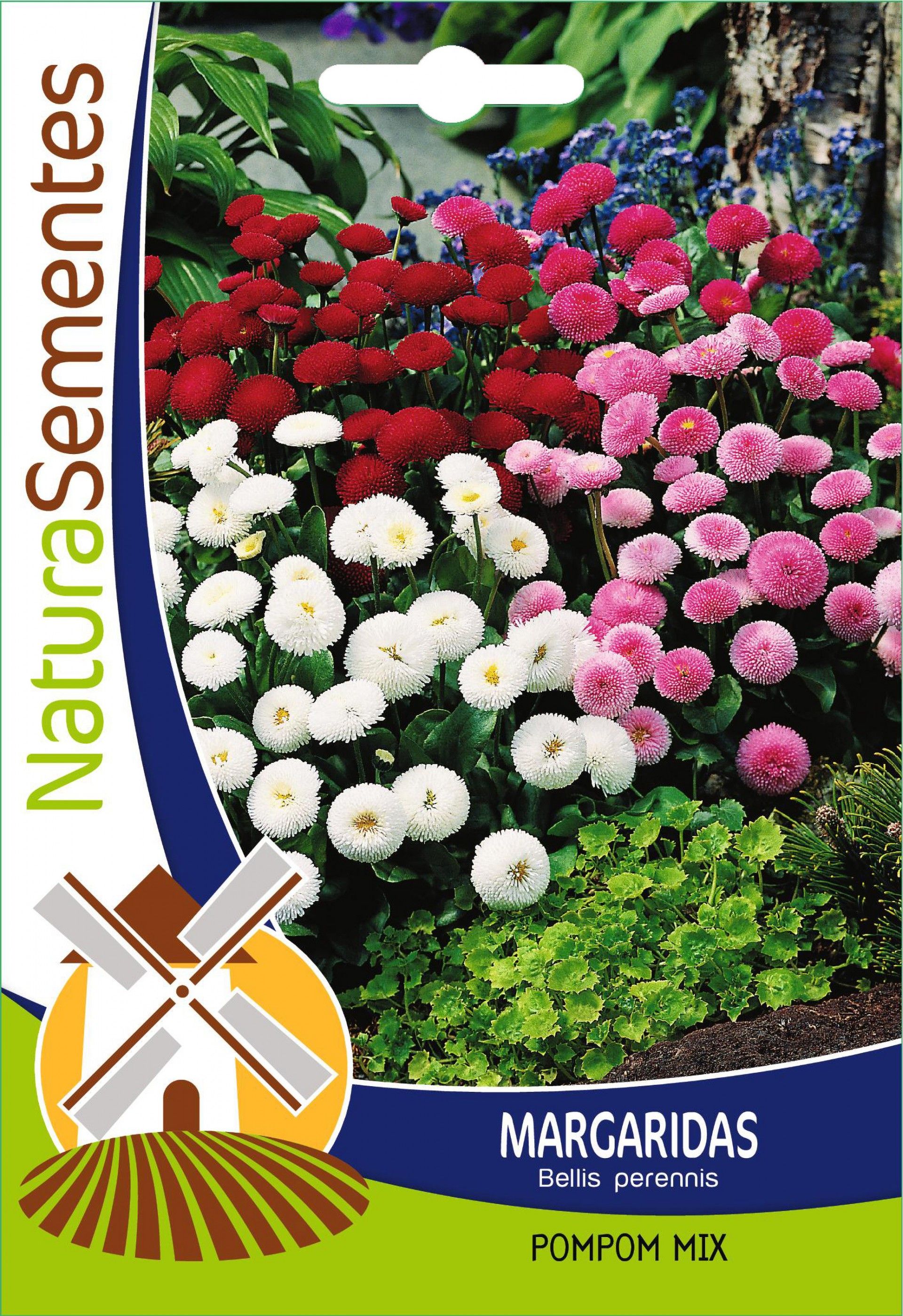 Margaridas Pompom Mix