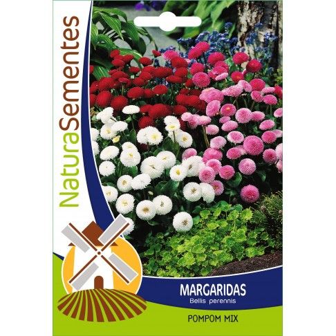 Margaridas Pompom Mix Margaridas Pompom Mix
