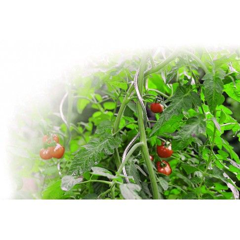Tutor Tomate Espiral 180cm
