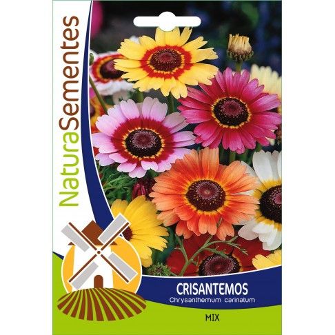 Crisantemos Mix Crisantemos Mix