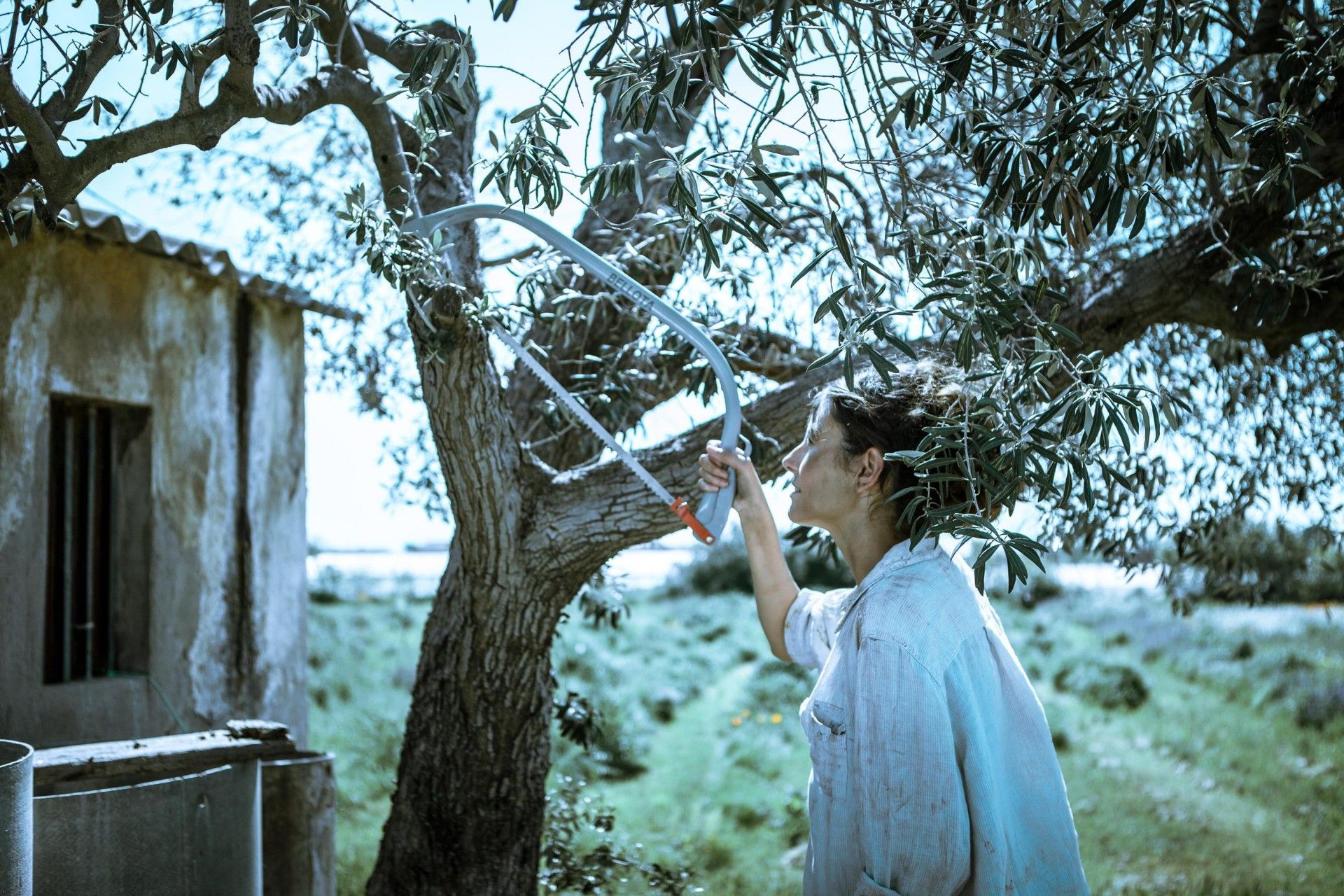 Serra de Arco dentado universal 4539-24"