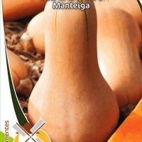 Abóbora Manteiga Abóbora Manteiga