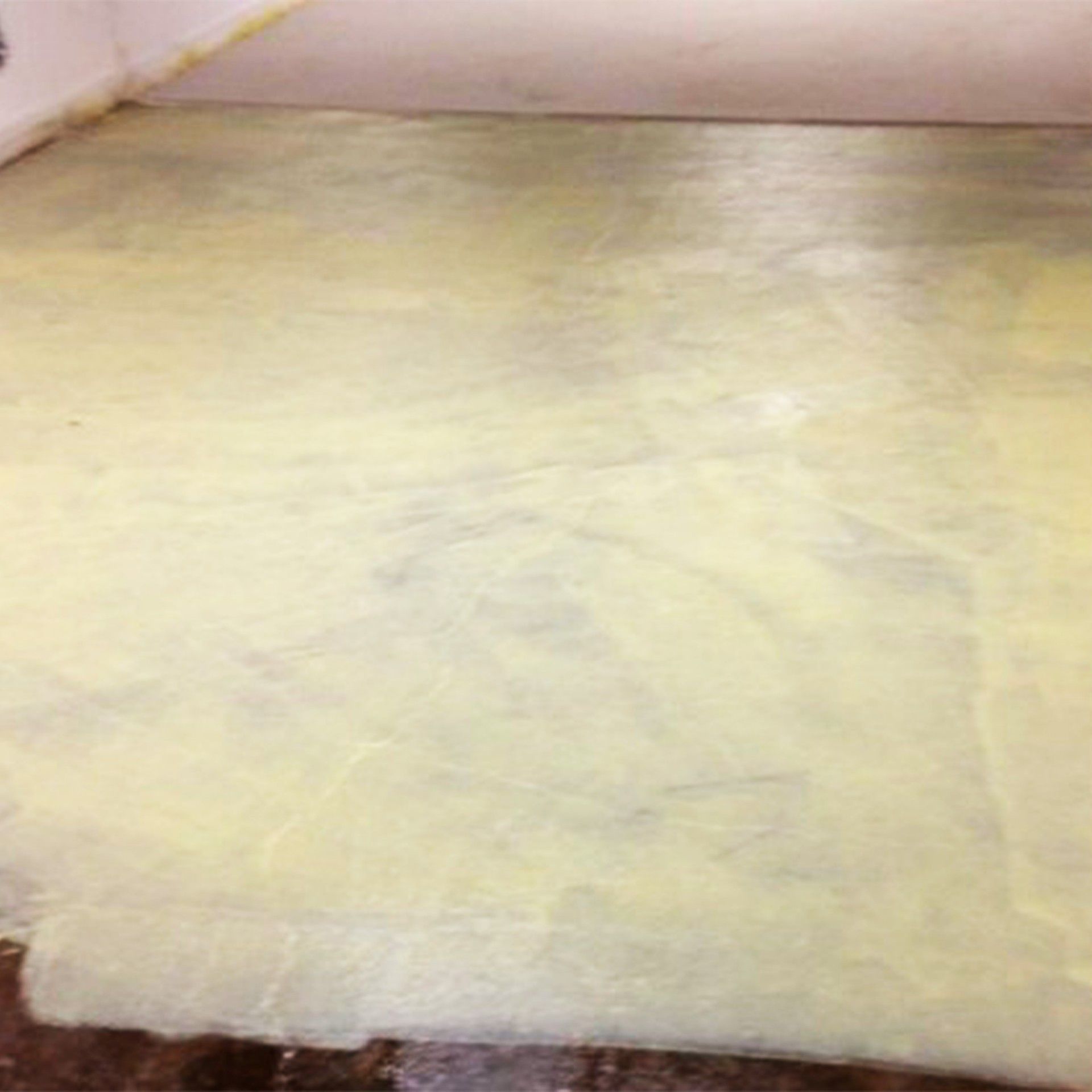 Primário Aderente Weber.Primário Universal 5L