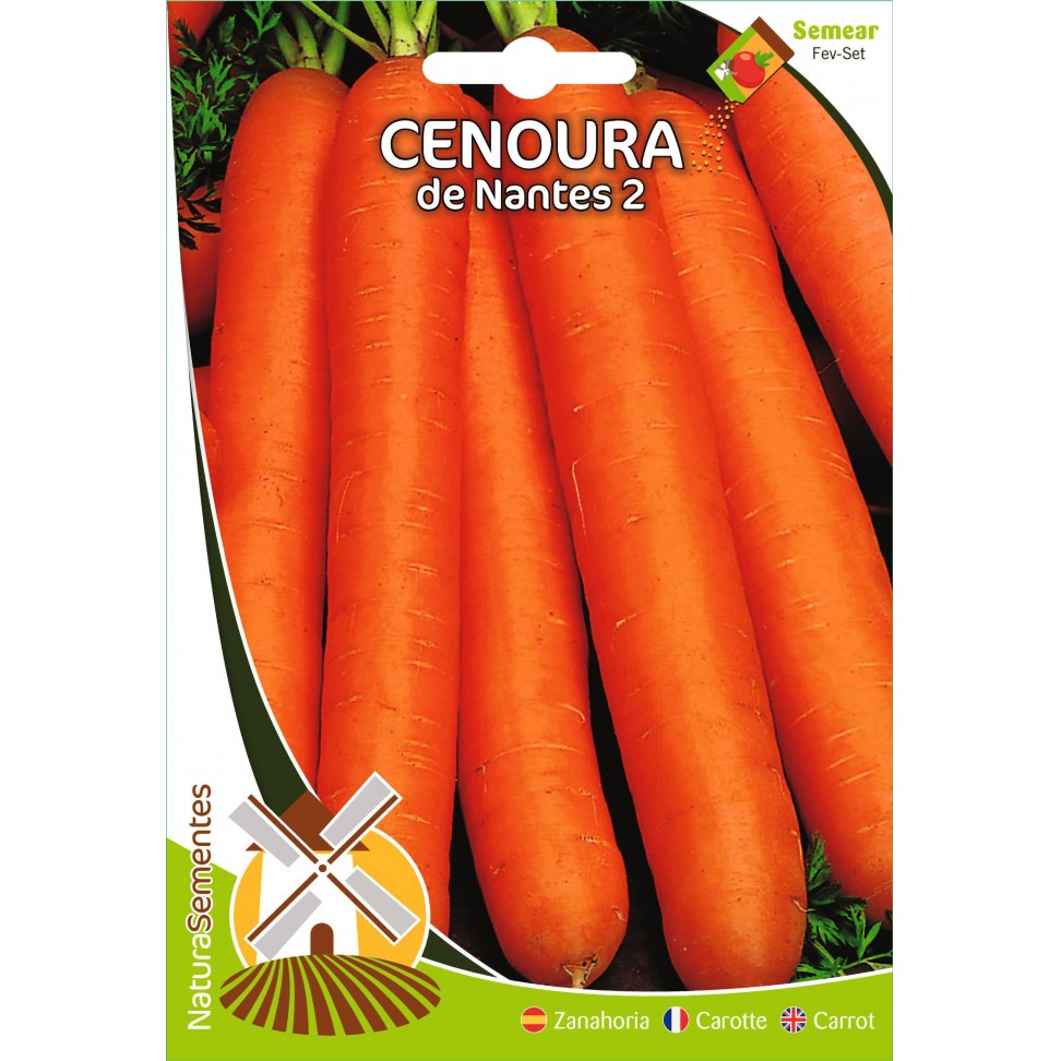 Cenoura Nantes 2
