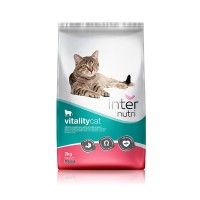 Alimento Para Gato Vitality Cat 2kg Alimento Para Gato Vitality Cat 2kg
