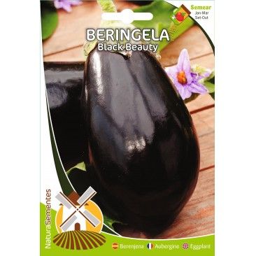 Beringela Black Beauty