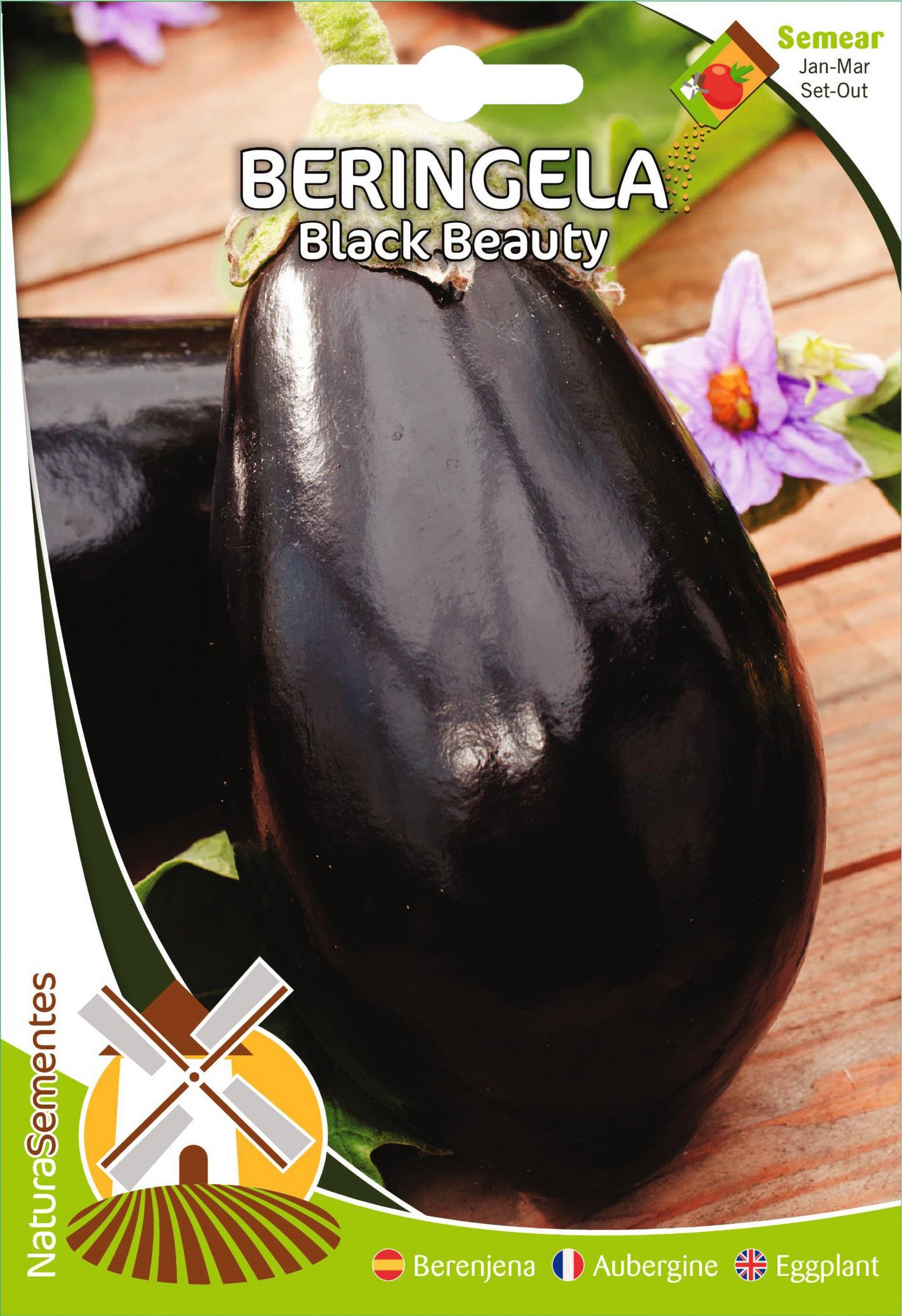 Beringela Black Beauty
