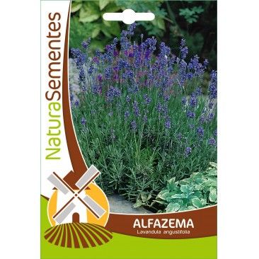 Alfazema
