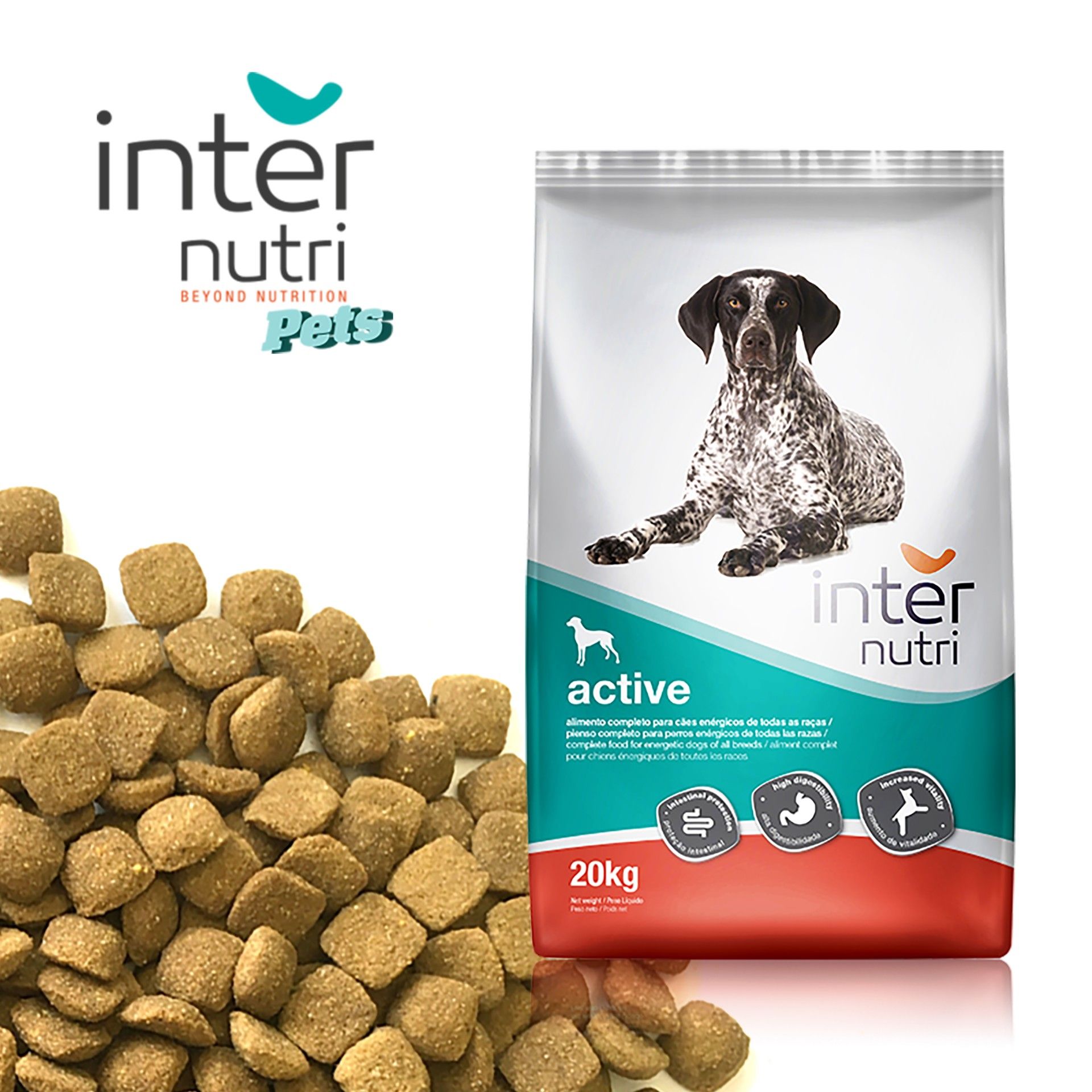 Alimento Para Cão New Dog Active 20kg