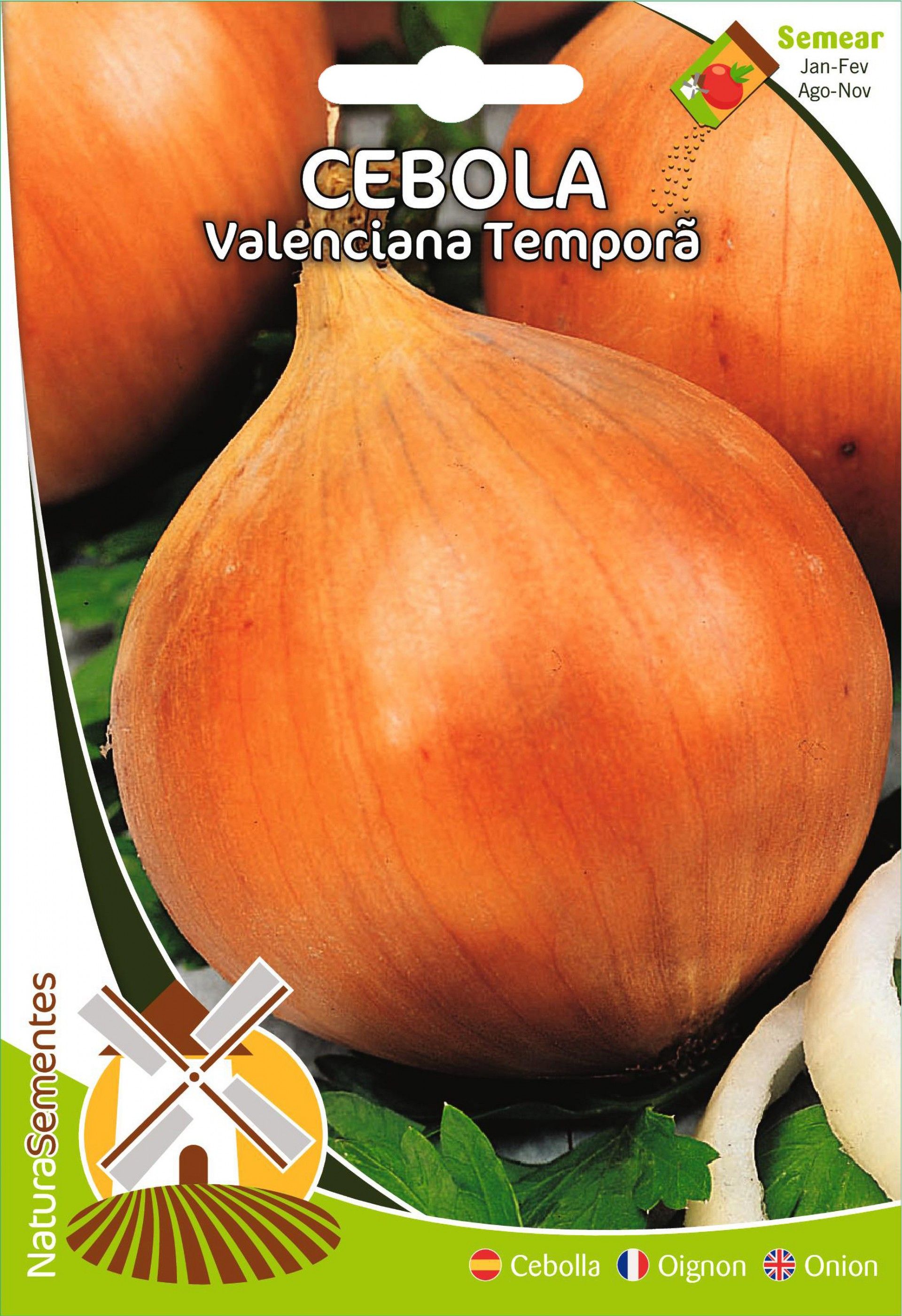 Cebola Valenciana Temporã