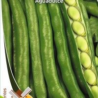 Fava Aguadulce Fava Aguadulce