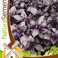 Alfadega Roxa Alfadega Roxa
