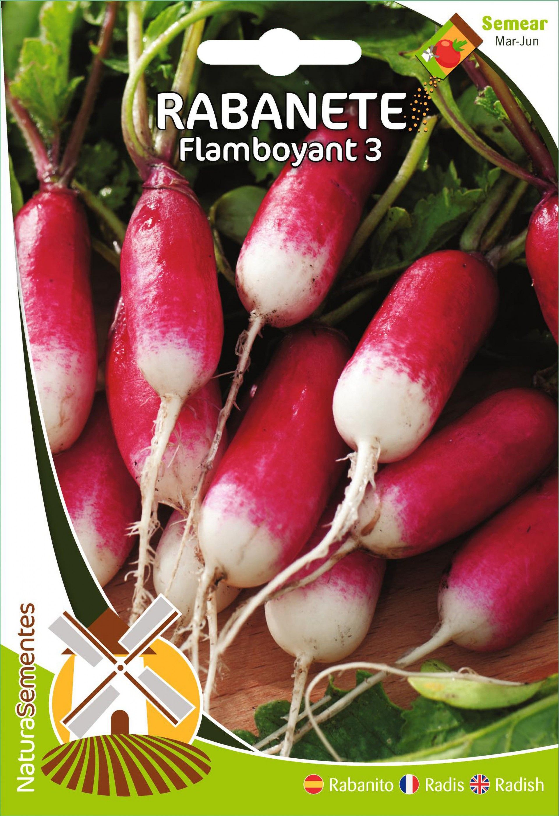 Rabanete Flamboyant
