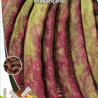 Feijo De Trepar Braganano