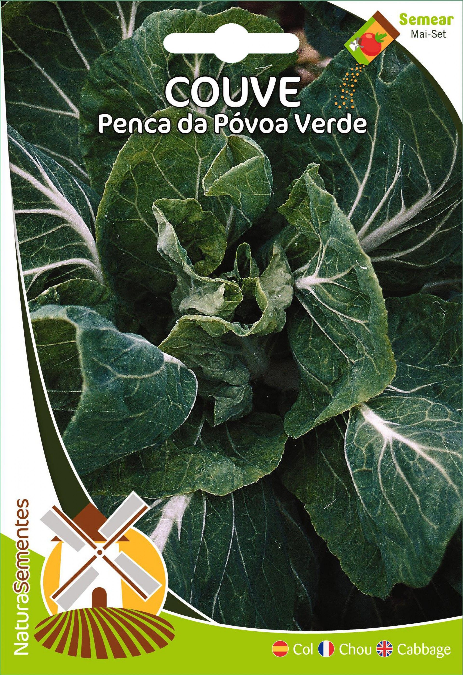 Couve Penca Da Póvoa Verde