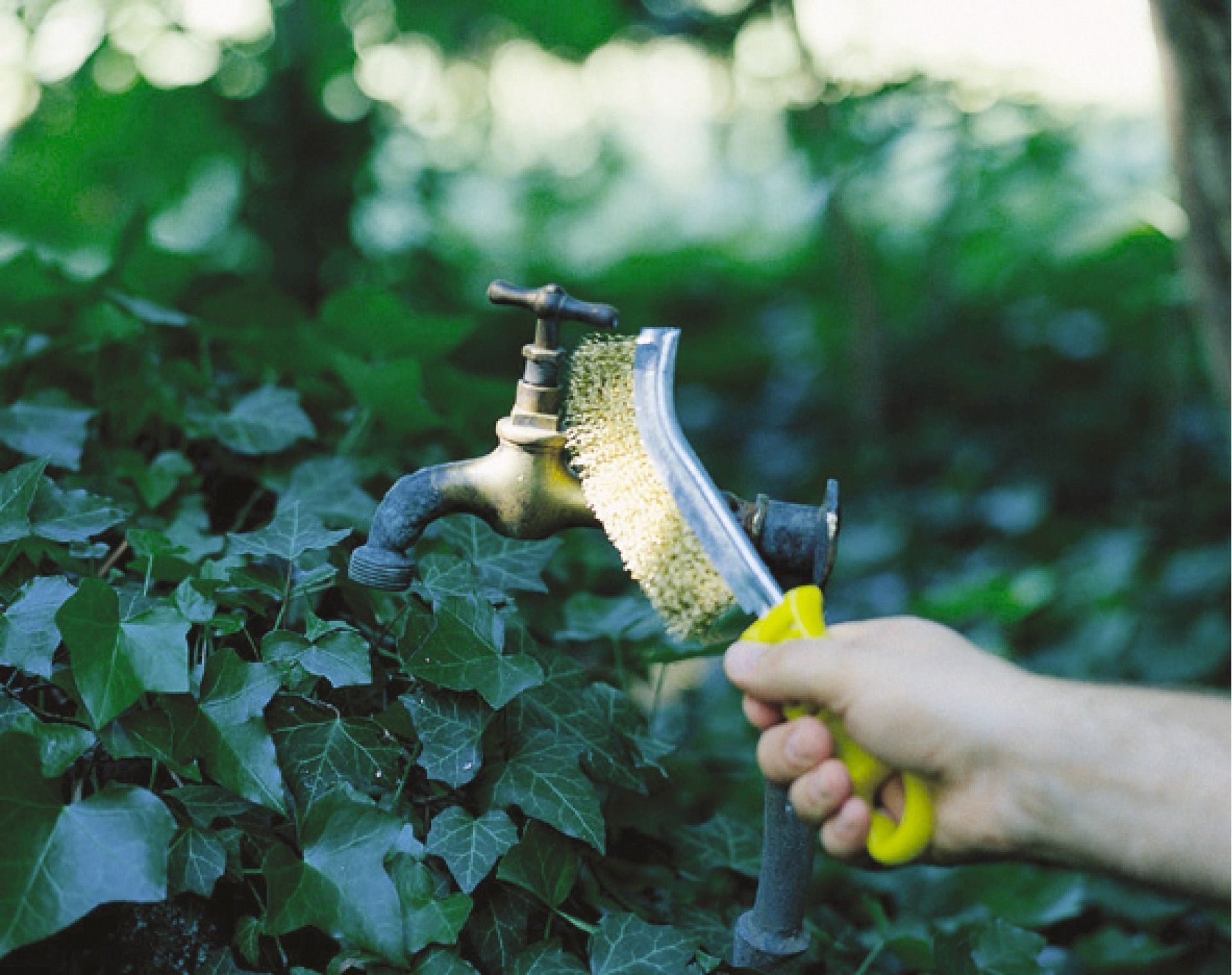 Escova para Materiais Não Ferrosos