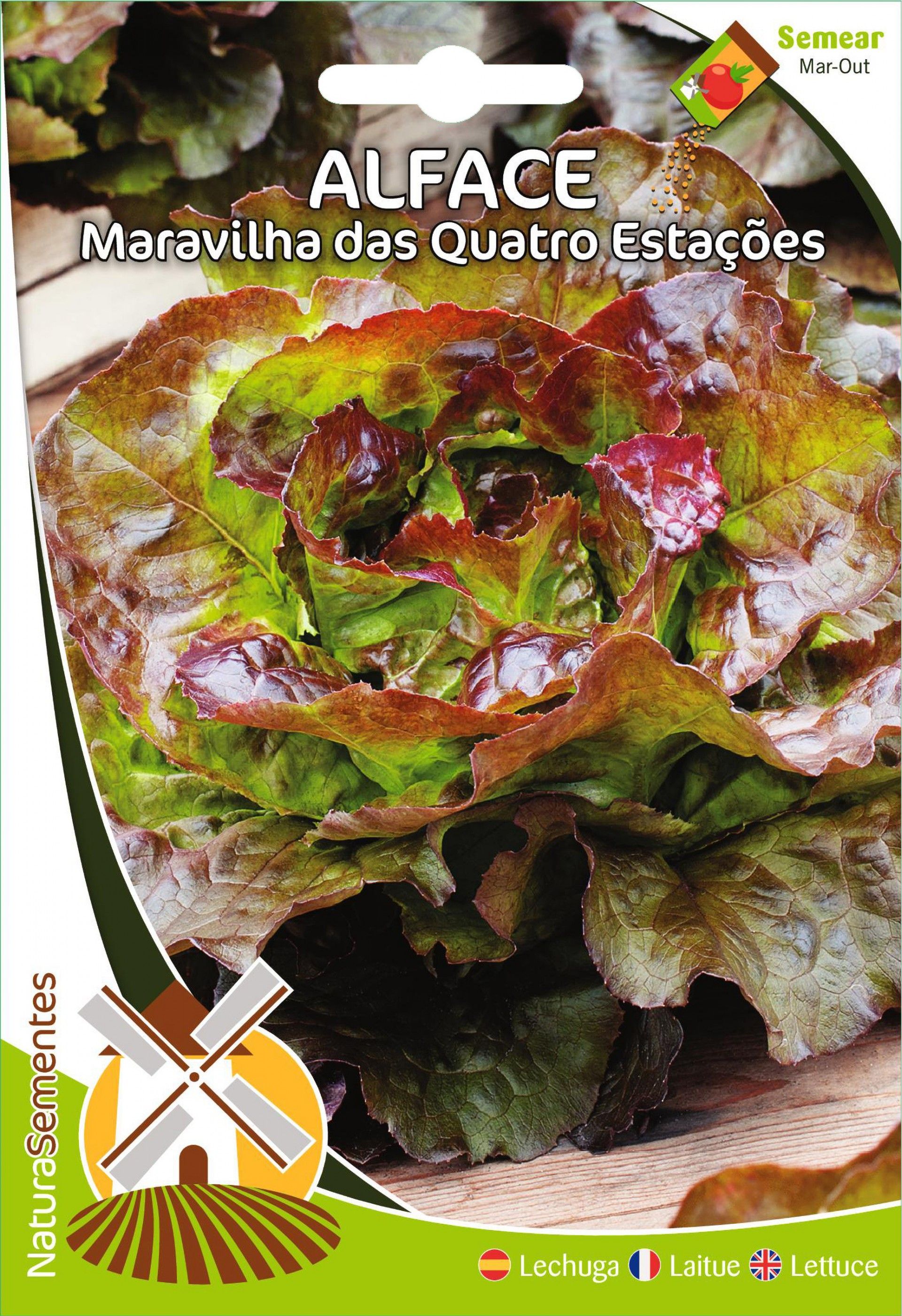 Alface Maravilha Quatro Estações