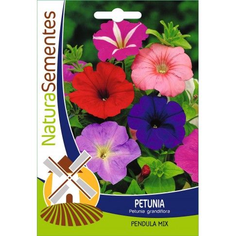 Petunia Pendula Mix Petunia Pendula Mix