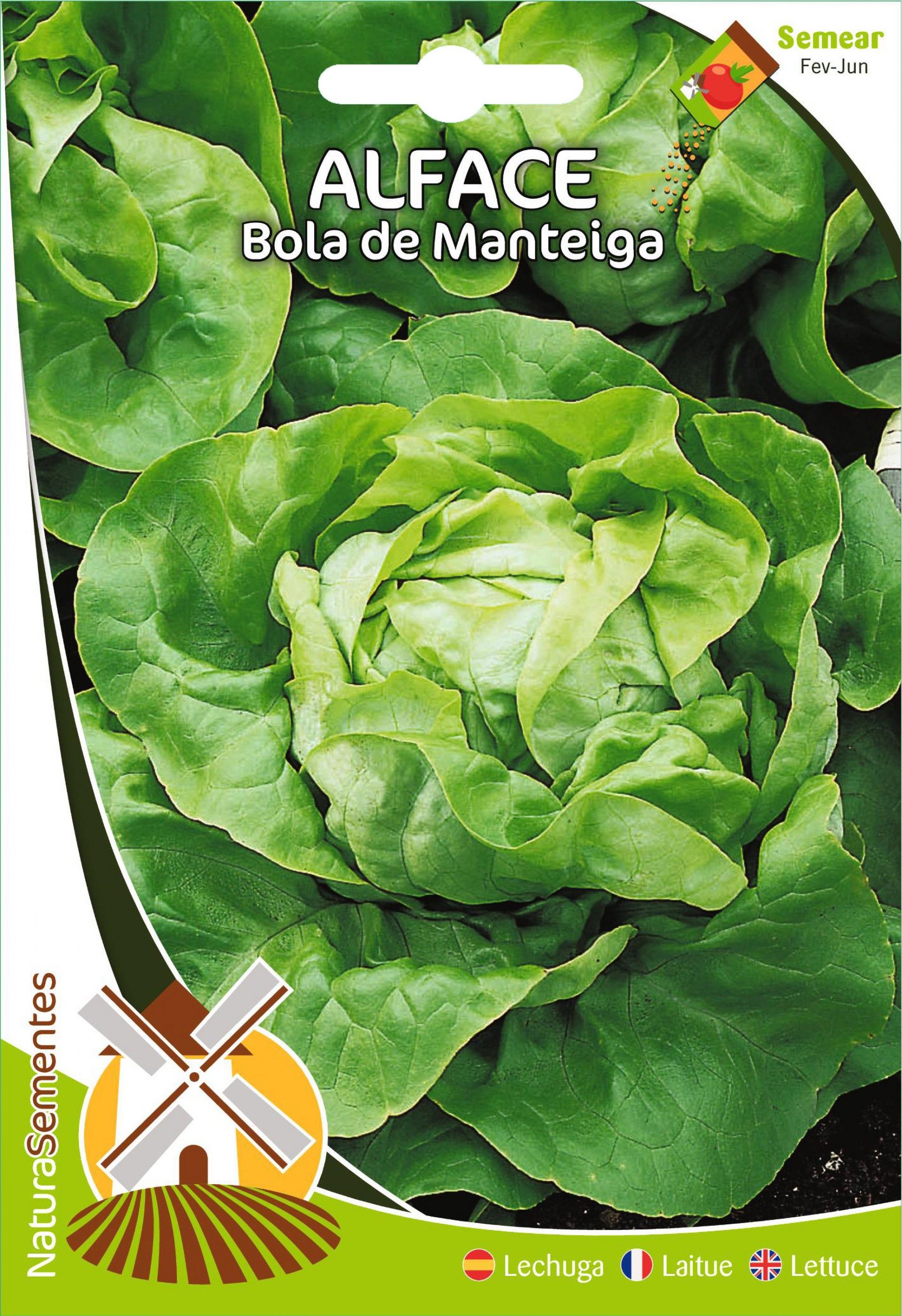 Alface Bola De Manteiga