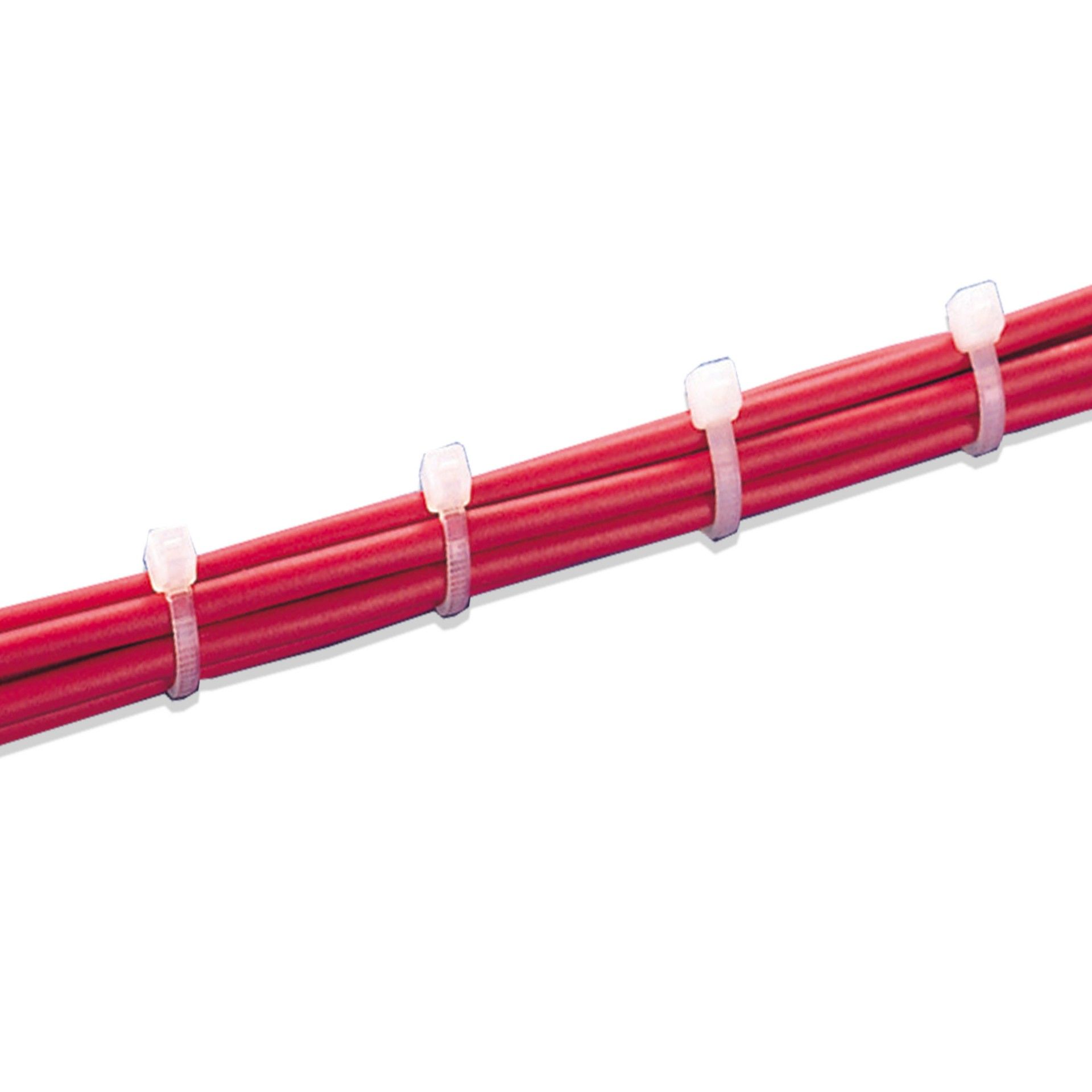 Abraçadeiras Serrilha 270x4,6mm Transparente 50 unidades